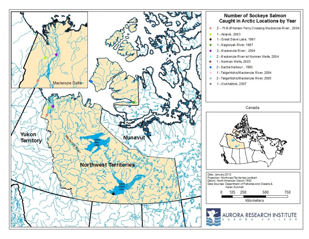 Sockeye salmon location map