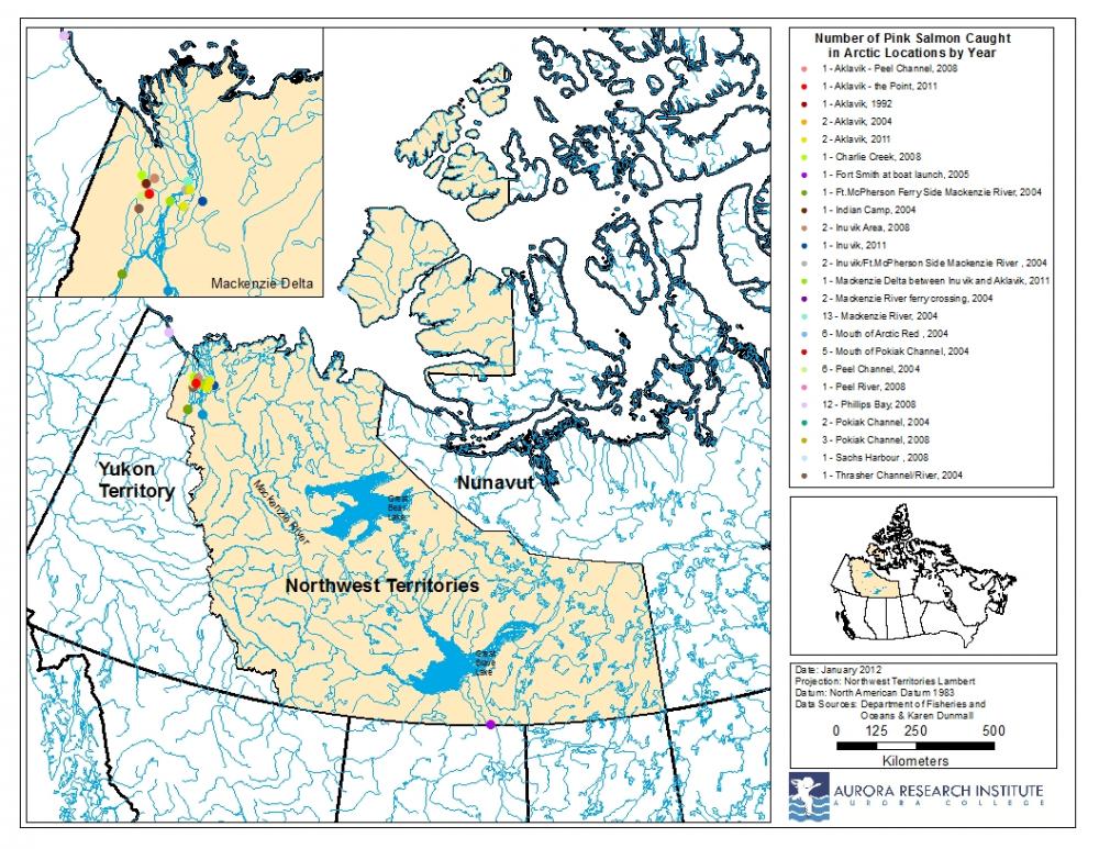 Pink salmon location map
