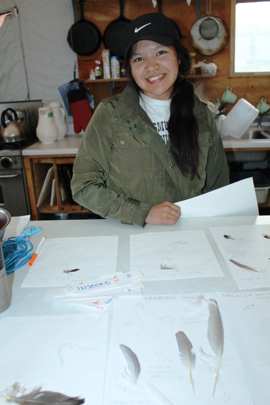 TSSRAP summer student Trena Weyallon displaying her feather collection project at Daring Lake (Photo:  GNWT/Stephanie Yuill)