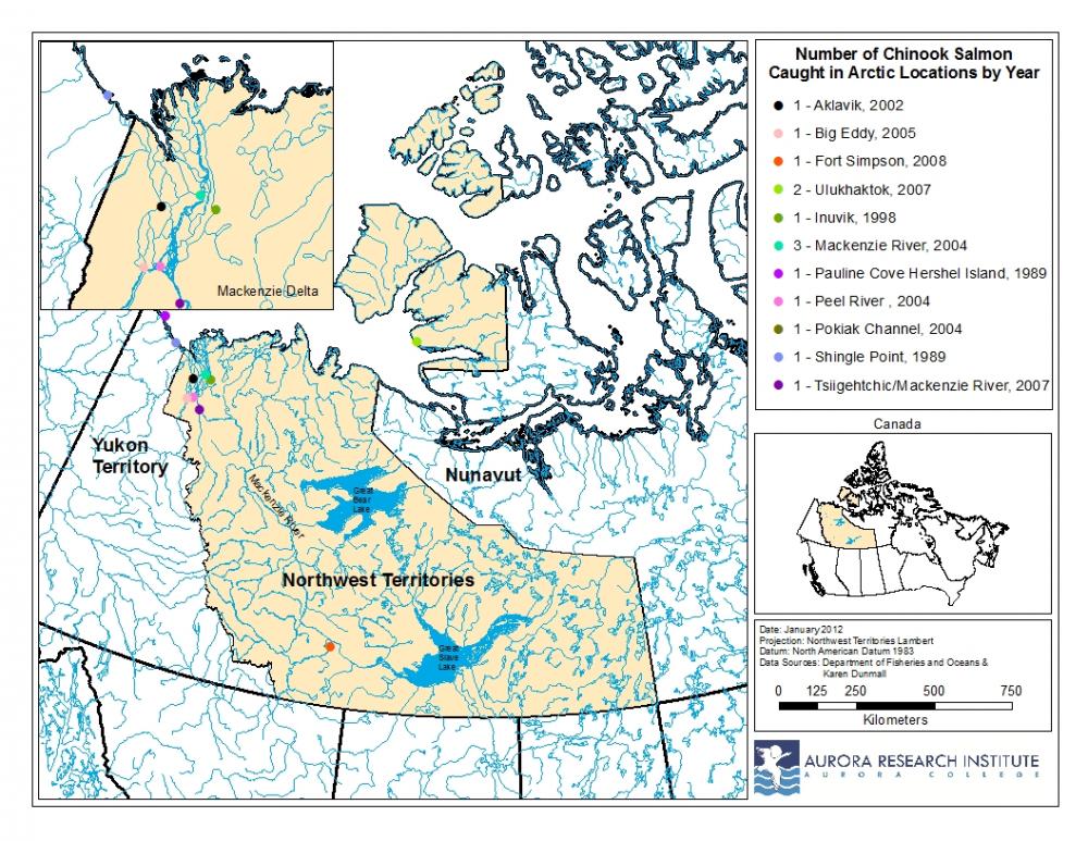 Chinook salmon location map