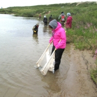 Susan learning how to use a beach seine fish net