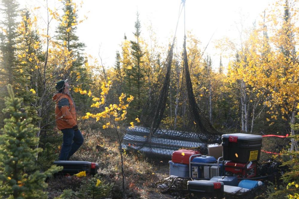 Wind Energy Fieldwork
