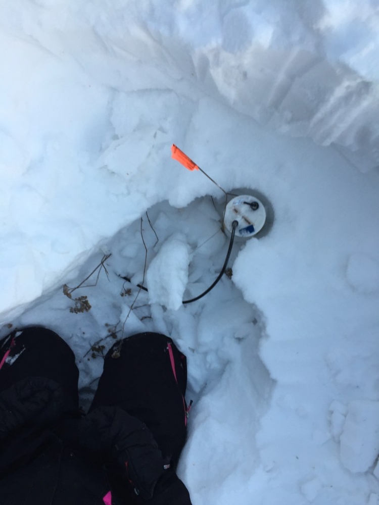 ARI and Eosense Environmental Gas Monitoring Collaborate to Monitor Climate Change