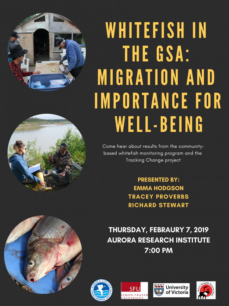 Whitefish in the GSA: Migration and Importance for Well-Being