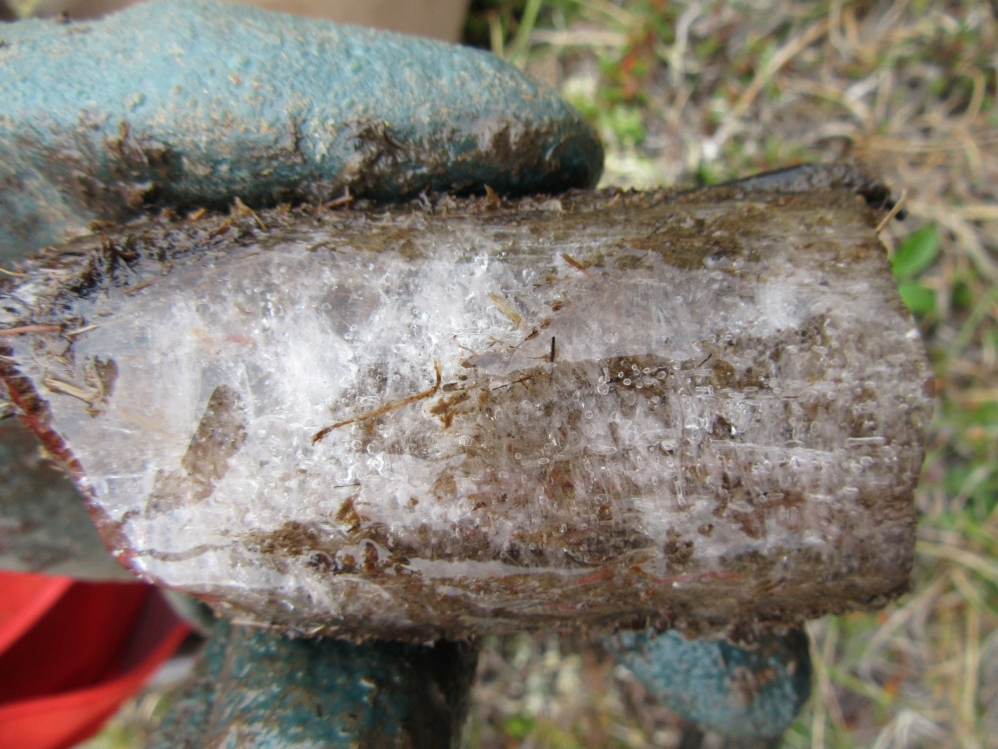 Permafrost Information Hub